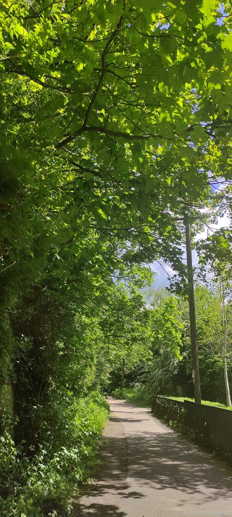 Aya Kensington onlyfans naked leak