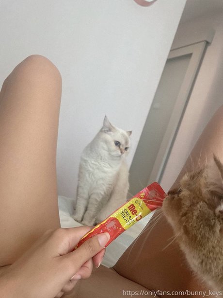 Bunny Keys_ only fans leaks