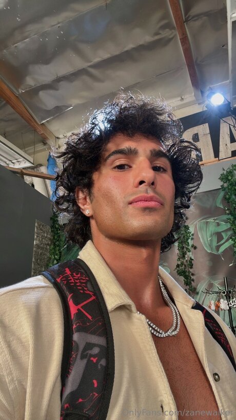 Zanewalker fans only