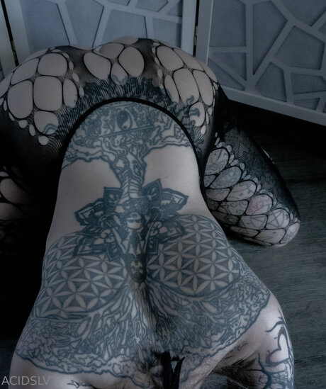 Acidslvt onlyfans nude content