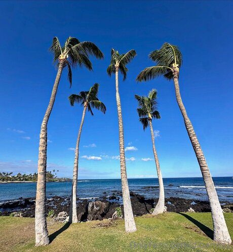 Dibarros1 leaked onlyfans