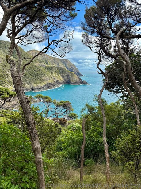 Breasts In Nature Free xxx onlyfans