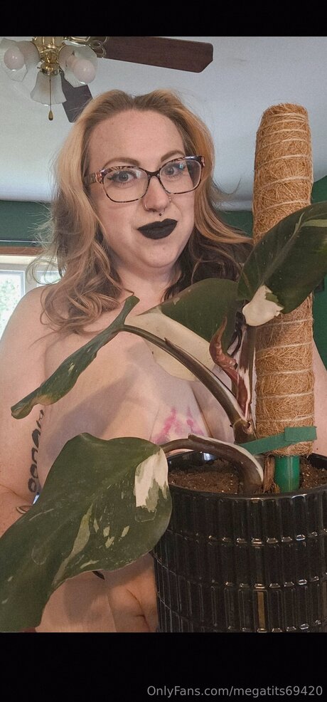 Megatits69420 onlyfans leaks nudes