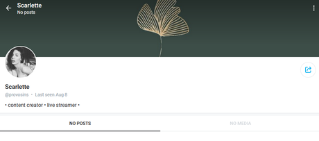 Provocatrix_ onlyfans naked leaks