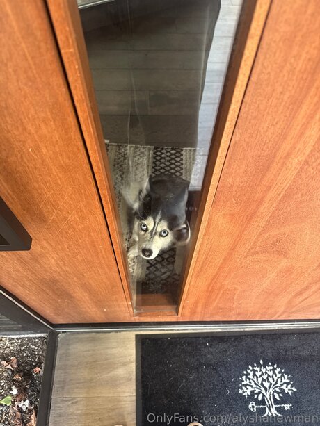 Alyshanewman onlyfans nude