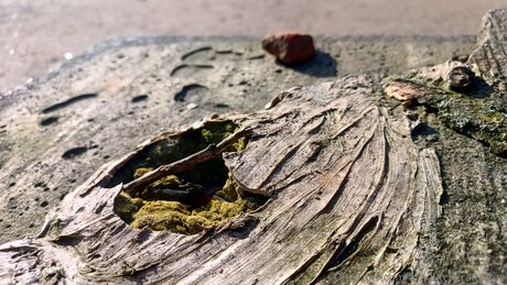 Alexbitchcraft4free nudes onlyfans leaks