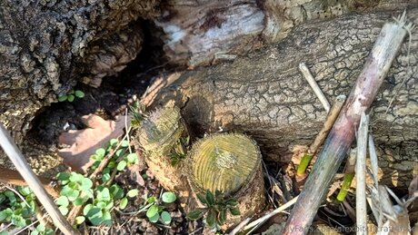 Alexbitchcraft4free leaked onlyfans