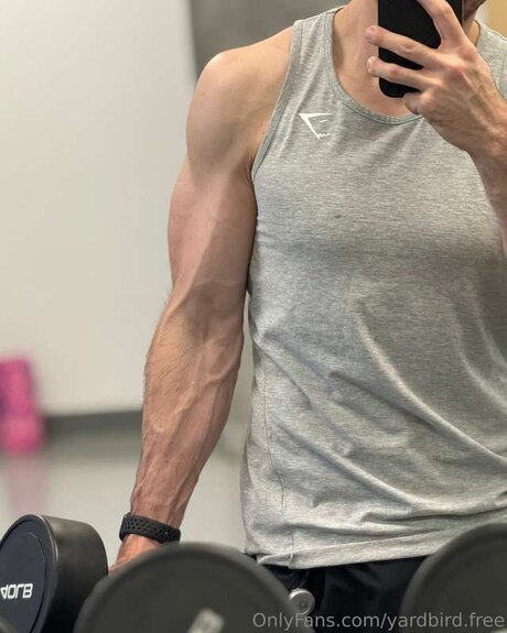 Yardbird Free onlyfans pics