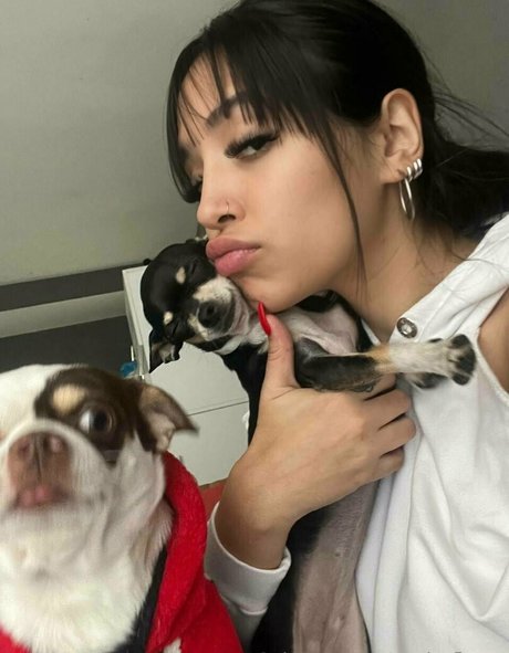 Paula Flores Profile pic