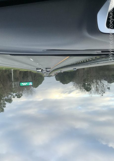 zoeykatexo2 onlyfans free content