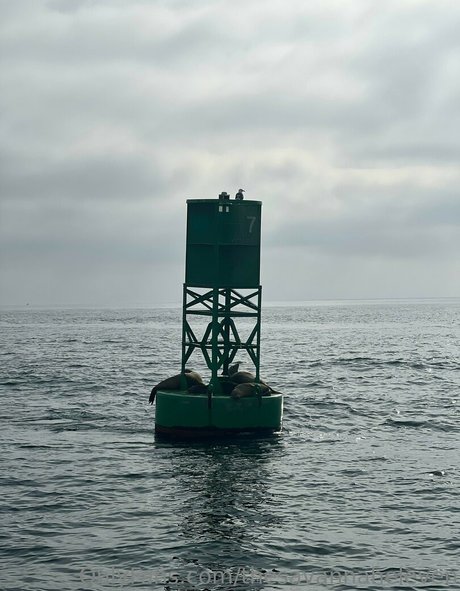 Thesavannaheleven onlyfans leak