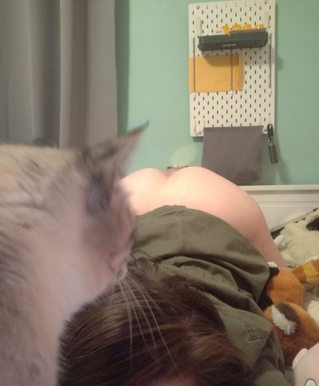 korviid onlyfans free porn