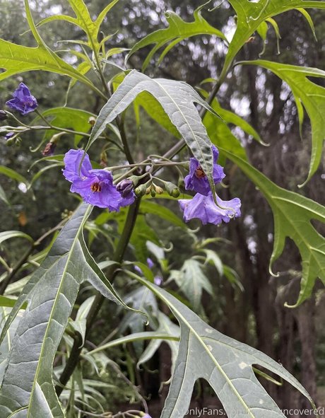 janey uncovered only fans leak nude