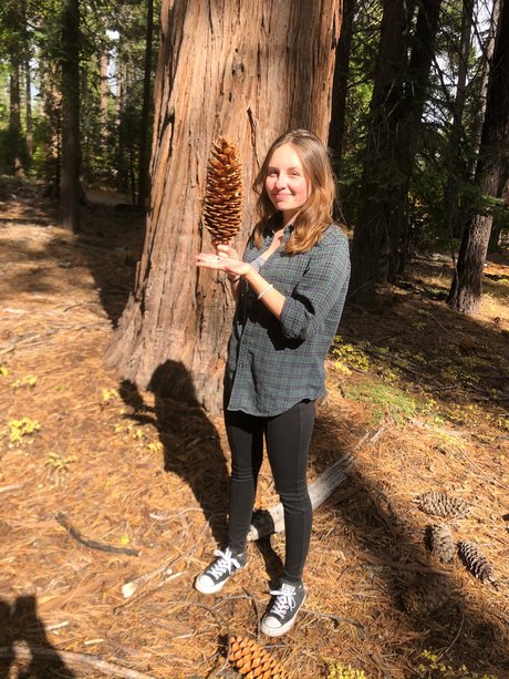 Caliwife13 Emma North only fans leaks porn