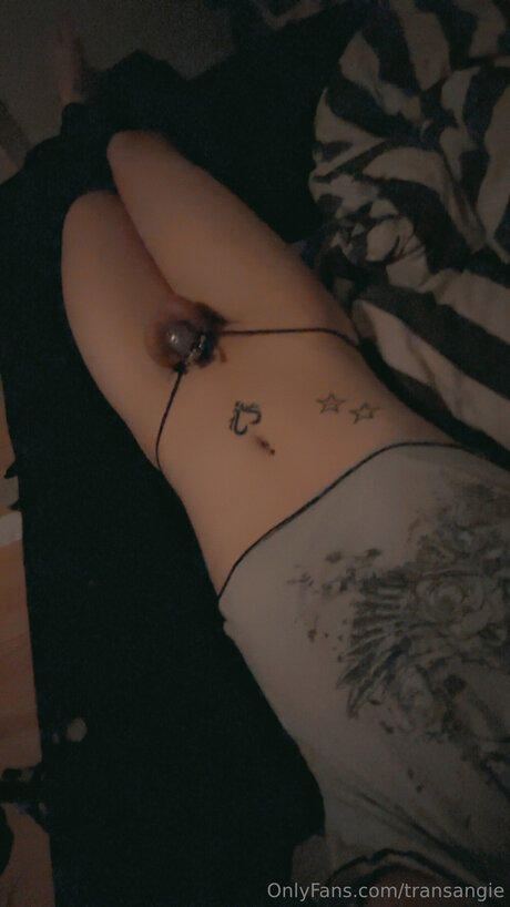 Transangie only fans.