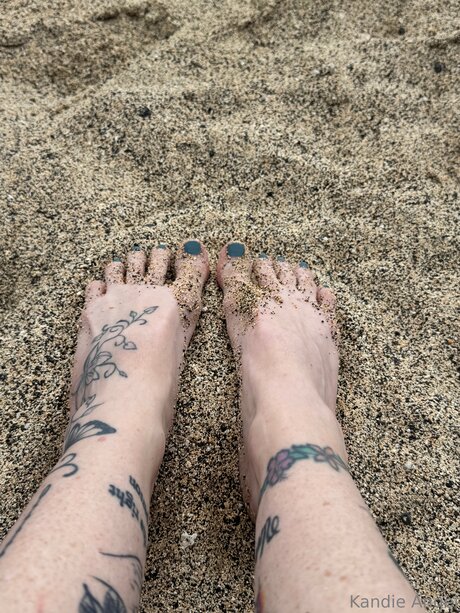 Tattedraiderette onlyfans leaks xxx