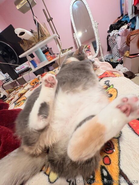 Sonnikuza pics onlyfans