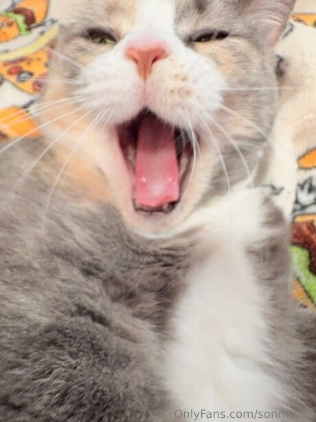 Sonnikuza onlyfans archives