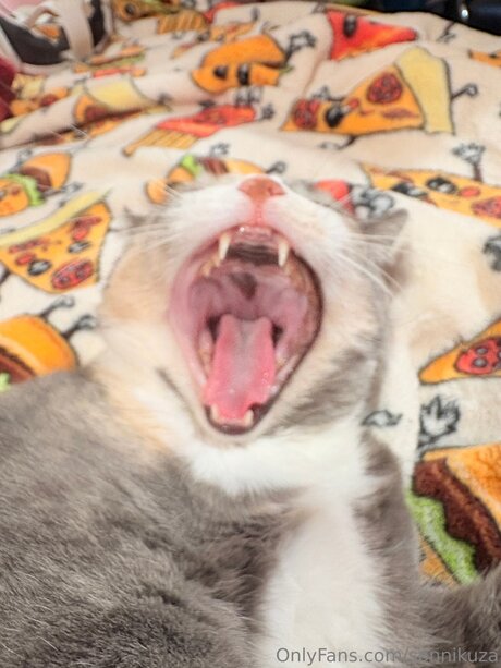 Sonnikuza onlyfans joi