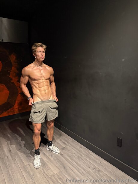 Seandawnfree ass onlyfans