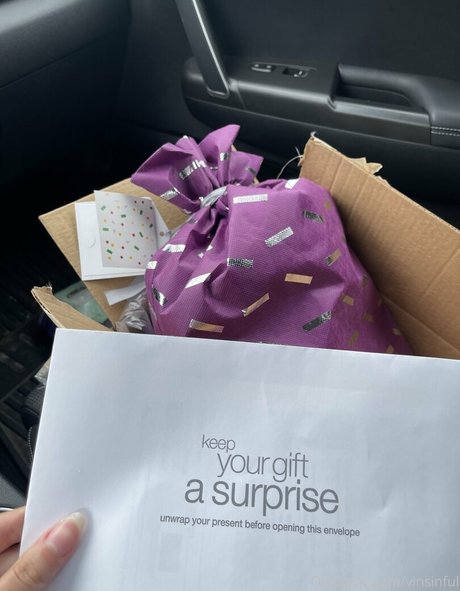 vinsinful onlyfans porn