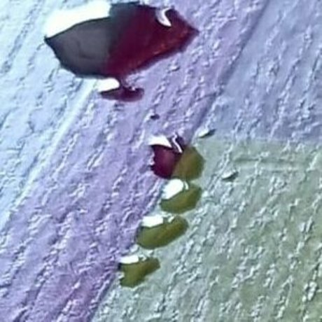 scarlett johnson24 onlyfans pic