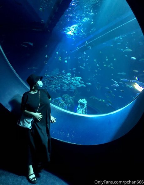 Pchan666 leaked onlyfans nude