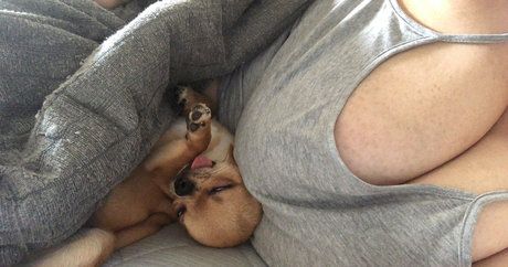 Pchan666 porn only fans