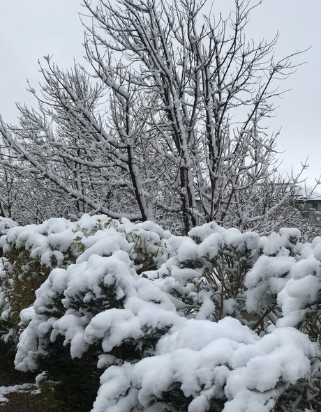 tomiko 1 onlyfans leams