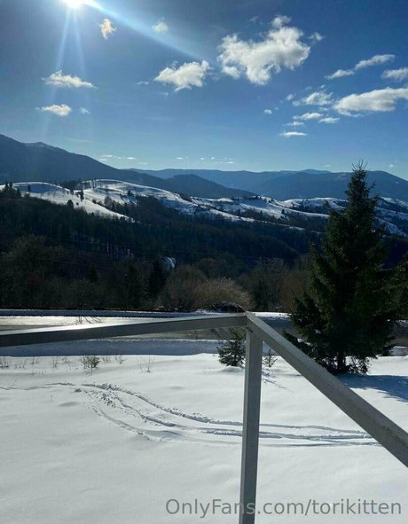 torikitten onlyfans leams