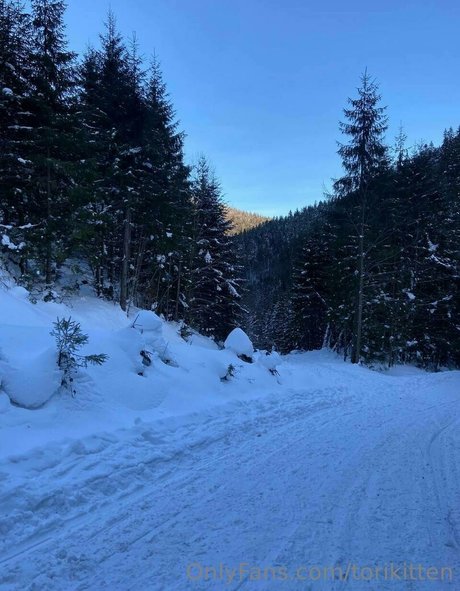 torikitten onlyfans pic