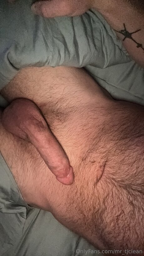 Mr Tjclean onlyfans free content