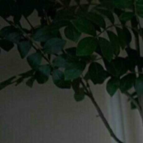 kaylee free onlyfans nude