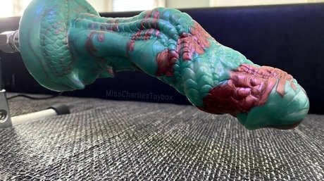 misscharliestoybox onlyfans x