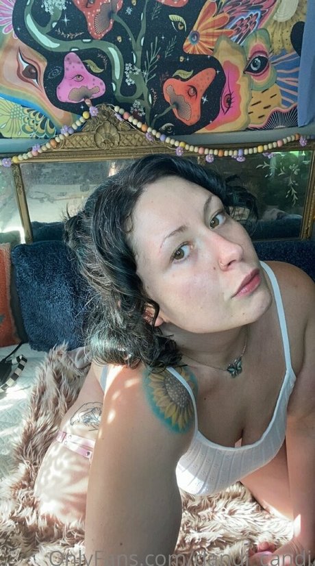 dandi candi Profile pic