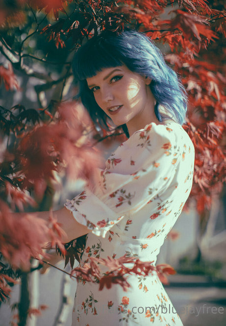 bluejayfree leaked onlyfans free