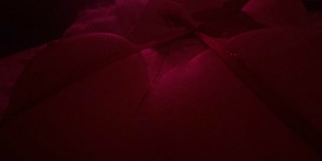 Andrea Zendejas onlyfans porn free