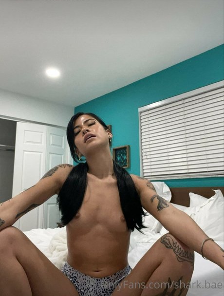 Shark Bae_ naked onlyfans
