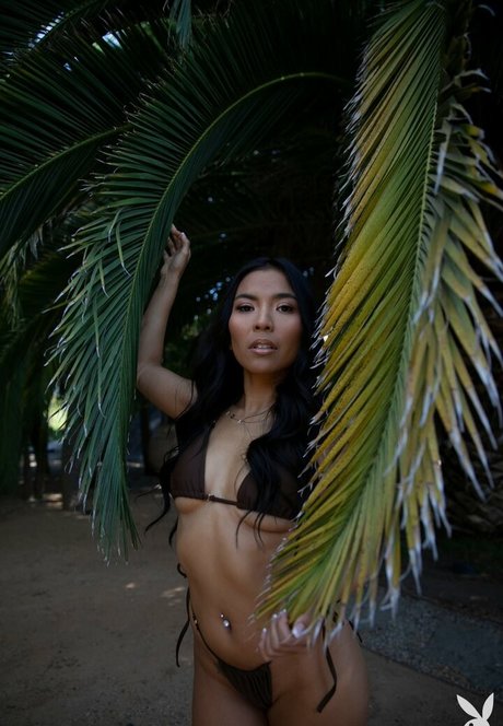 Jada Kai onlyfans porn