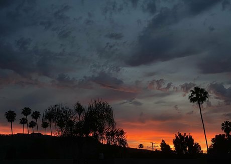 Vanessa Veracruz onlyfans nudes leak