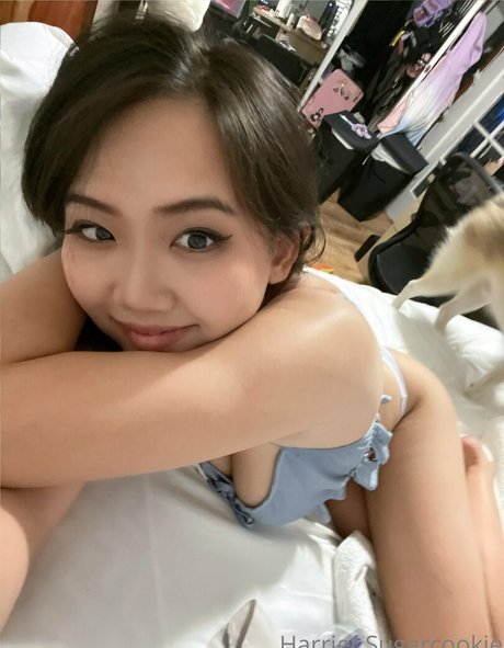 Harriet Sugarcookie new onlyfans leak