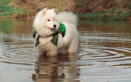 Okicospi porn onlyfans