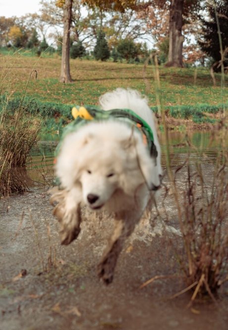 Okicospi onlyfans leaks