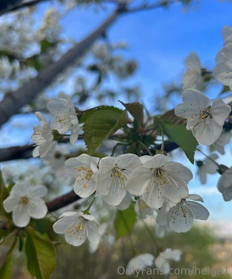 helga1 leaked onlyfans sextape