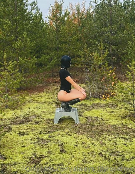 always lilyrosefree nude onlyfans pics