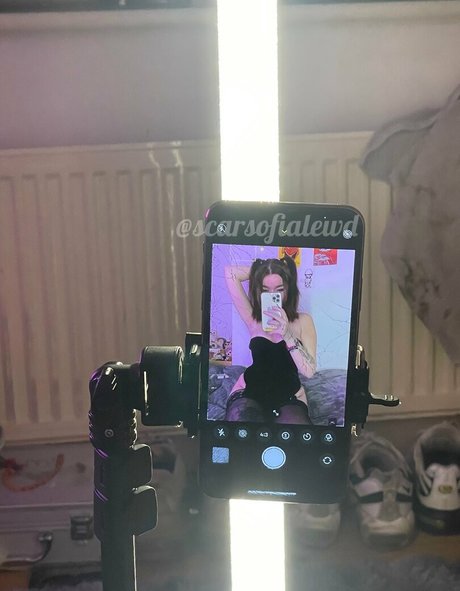 scarsofialewd onlyfans naked pics