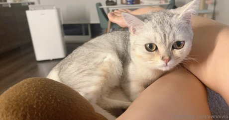 awnnivip leak onlyfans