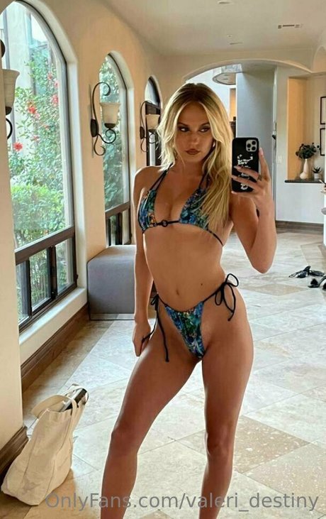 valeri destiny Profile pic