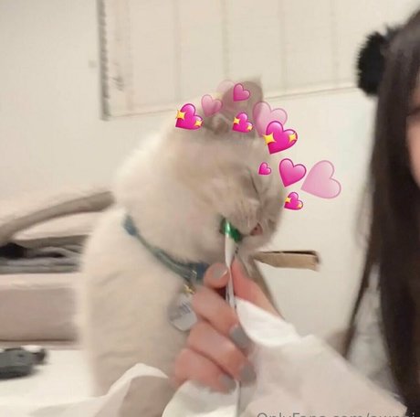 awnni free only fans