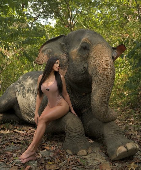 Thay Lupi onlyfans photo